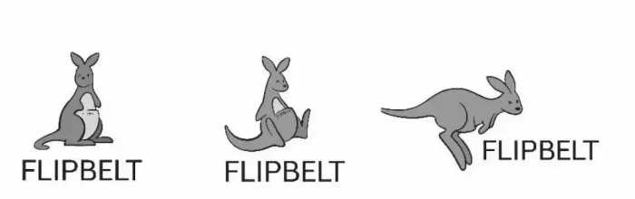 官宣 | 品牌升级，不一样的FlipBelt飞比特