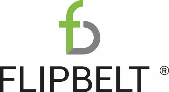 官宣 | 品牌升级，不一样的FlipBelt飞比特